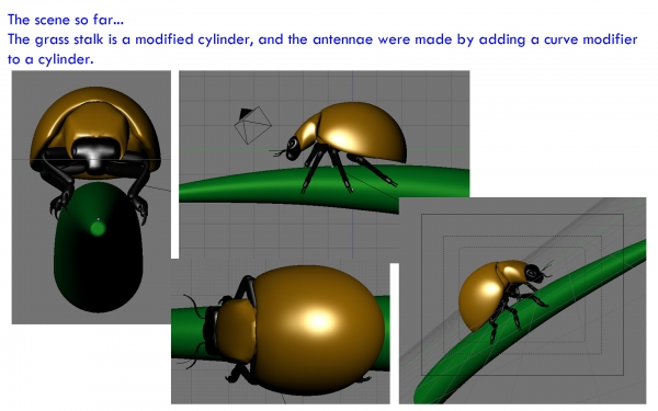 Creation of Ladybeetle: Step 7